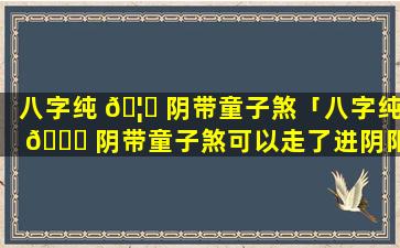 八字纯 🦆 阴带童子煞「八字纯 🐋 阴带童子煞可以走了进阴阳两界」